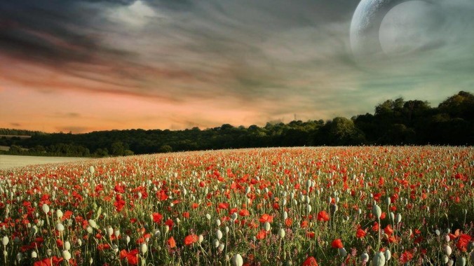 如何看待 2025 浙江高考杭州二中高分段被镇海宁海学军等校「碾压」？